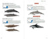 Mammals of China 2020